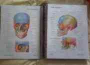 Atlas de anatomia netter 4ª edicion $18.000 segunda mano  Chile