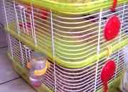 Vendo hamster y jaula nueva de 3 pisos segunda mano  Chile