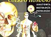 Vendo atlas del cuerpo humano medillust: anatomia… segunda mano  Chile