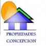 ARRIENDOS DISPONIBLES EN CONCEPCION Y SAN PEDRO  29 - 04 - 2010