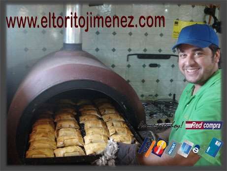 Hornos de barro portátiles industrial en Araucanía - Decoración y jardín |  235298