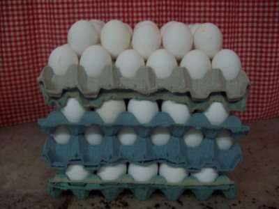 Venta de huevos x mayor distribucion minimo 6 cajas huevos frescos !!!