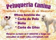 Peluqueria canina a domicilio en sector santiago … segunda mano  Chile
