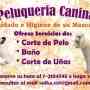 Peluqueria Canina a Domicilio en sector Santiago Norte