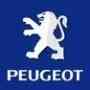 Mecanico especialista Peugeot Citroen a Domicilio