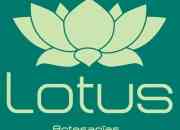 Lotus artesanias segunda mano  Chile