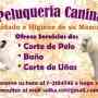Peluqueria Canina a Domicilio sector Santiago Norte