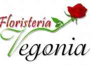 Floreria vegonia en la serena y coquimbo www.se… segunda mano  Chile