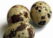 Venta de huevos de codorniz por mayor y menor, usado segunda mano  Chile