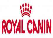 Usado, Royal canin maxi medium giant 15 kg $36.700 repar… segunda mano  Chile