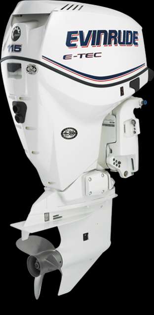 Evinrude 115 Hp E Tec Motor Fuera De Borda En Santiago Lanchas