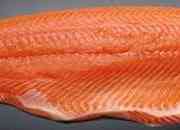 Salmon congelado, filete con piel y sin piel, ent… segunda mano  Chile