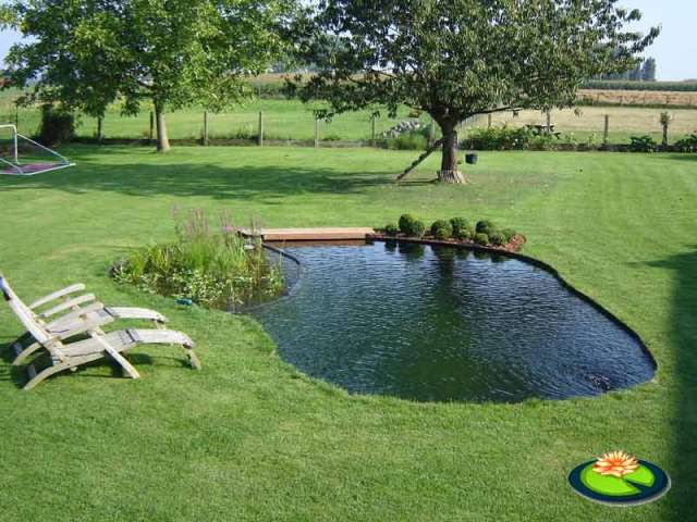 Piscina Ecologica Sin Cloro Natural Y Baja Mantencion En Santiago