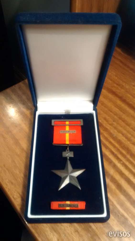 Medalla 11 de septiembre de 1973
