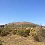 Terrenos Camino Al Valle Del Elqui Desde 5000 mts2