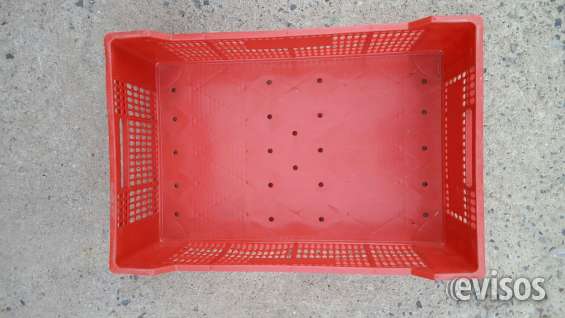 Liquido cajas plásticas 3/4 en Paine - Otros | 607863