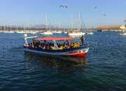 Vendo embarcacion de turismo, usado segunda mano  Chile