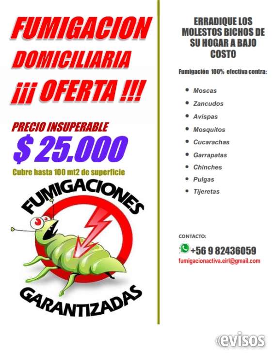 Fumigacion domiciliaria oferta en Santiago Otros Servicios | 631064