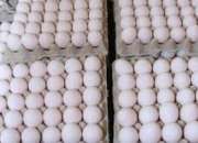 Venta huevos al por mayor segunda mano  Chile