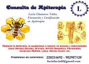 Apiterapia tratamiento con las abejas, usado segunda mano  Chile