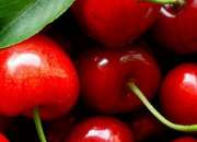 Usado, Berries fruits chile compra fruta segunda mano  Chile