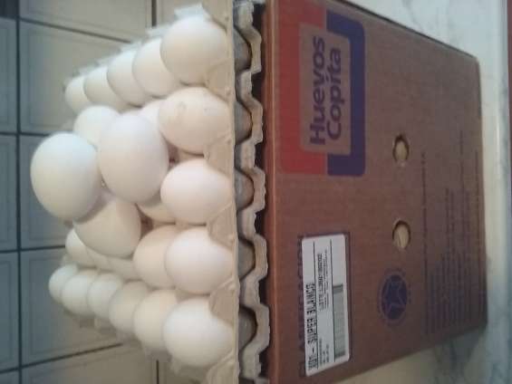 Venta de huevos bandejas/cajas
