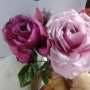 hermosas plantas de rosas